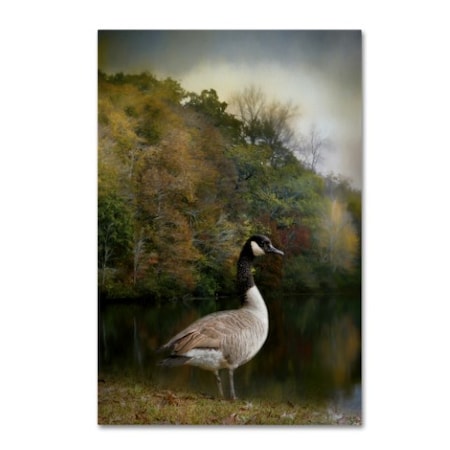 Jai Johnson 'The Canadian Goose' Canvas Art,16x24